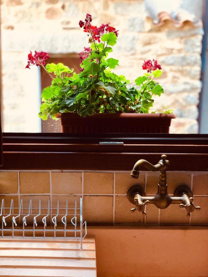 Casa Masini Bed & Breakfast Fonni Eksteriør bilde